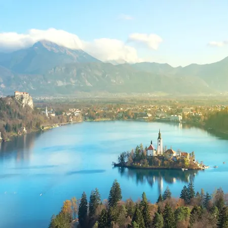 Art House * Radovljica