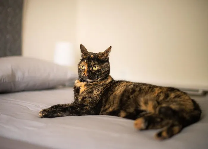 Art House Habitación en casa particular Radovljica